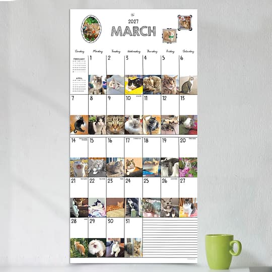 2027 Cat-A-Day Wall Calendar